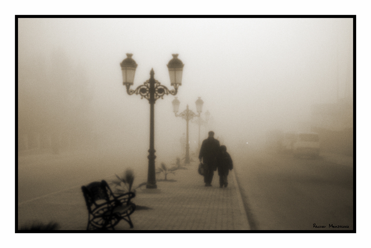 Dans le brouillard…