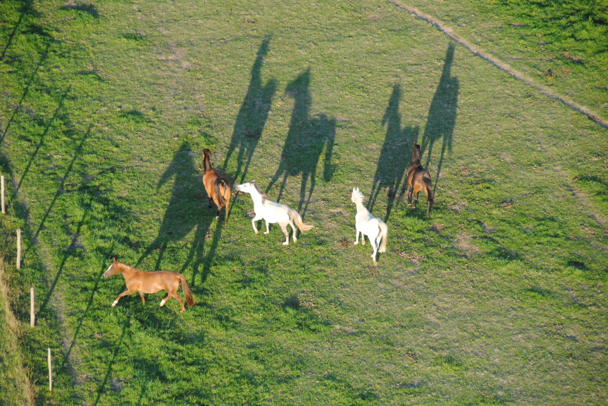 Peut-on courir plus vite que son ombre