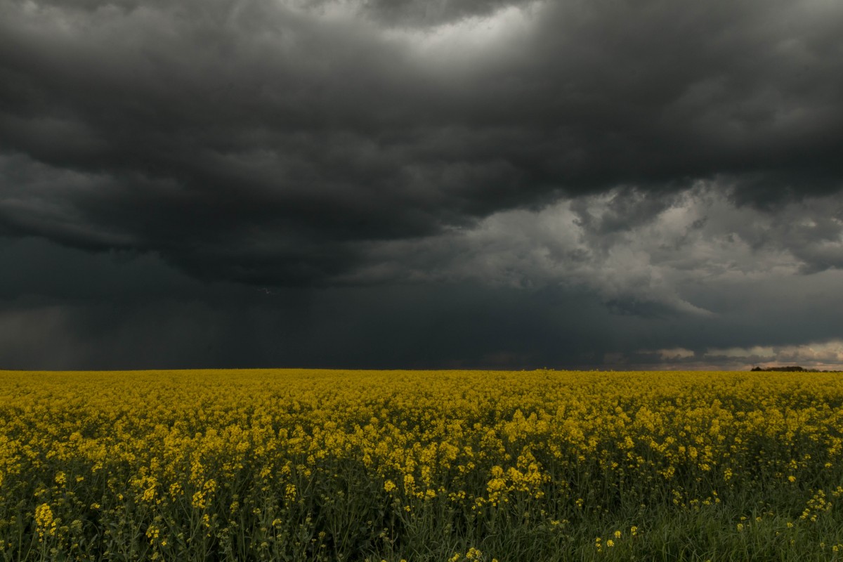 l’orage arrive