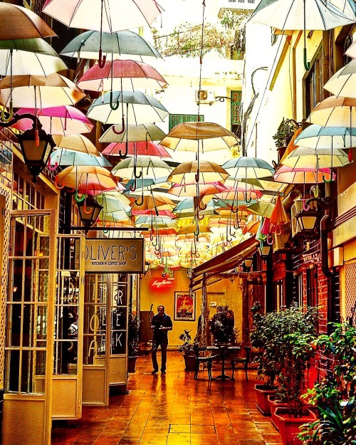 Les parapluies de Beyrouth