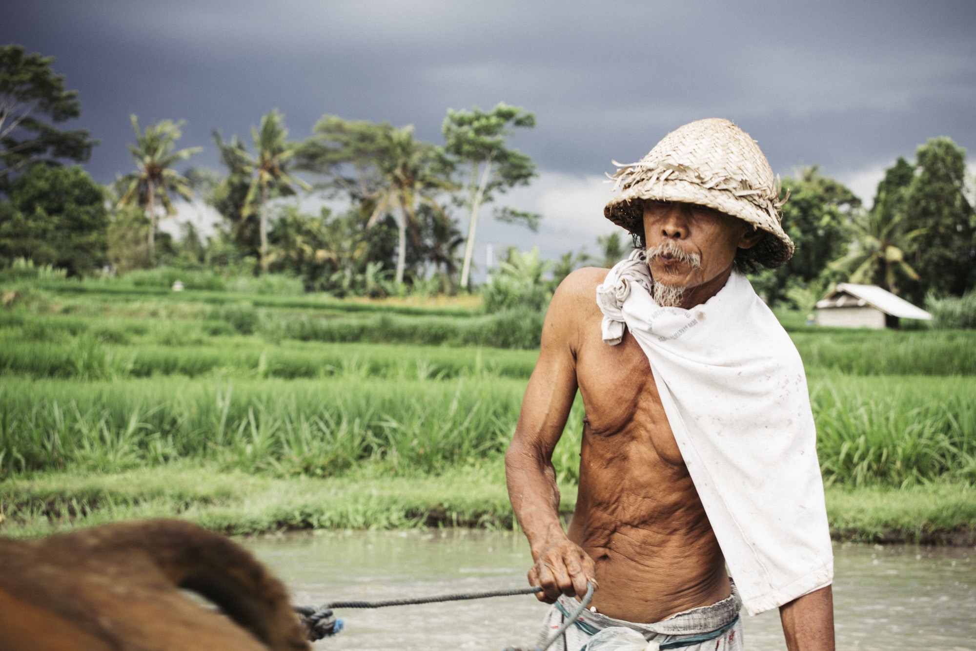 Agriculteur Balinais