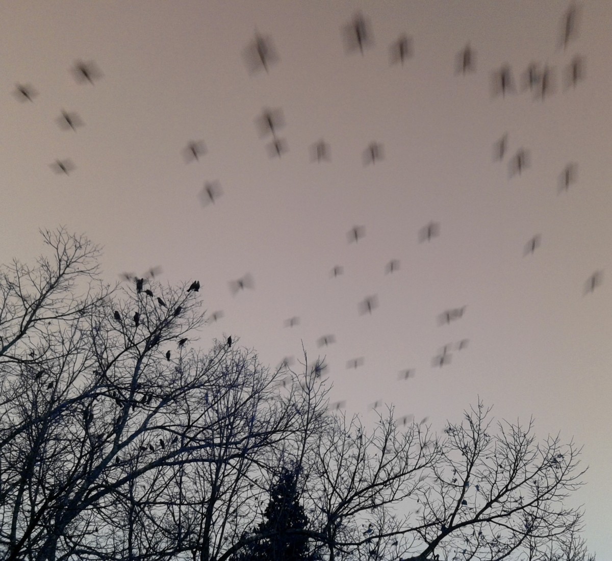 Aix-en-Provence – Au crépuscule