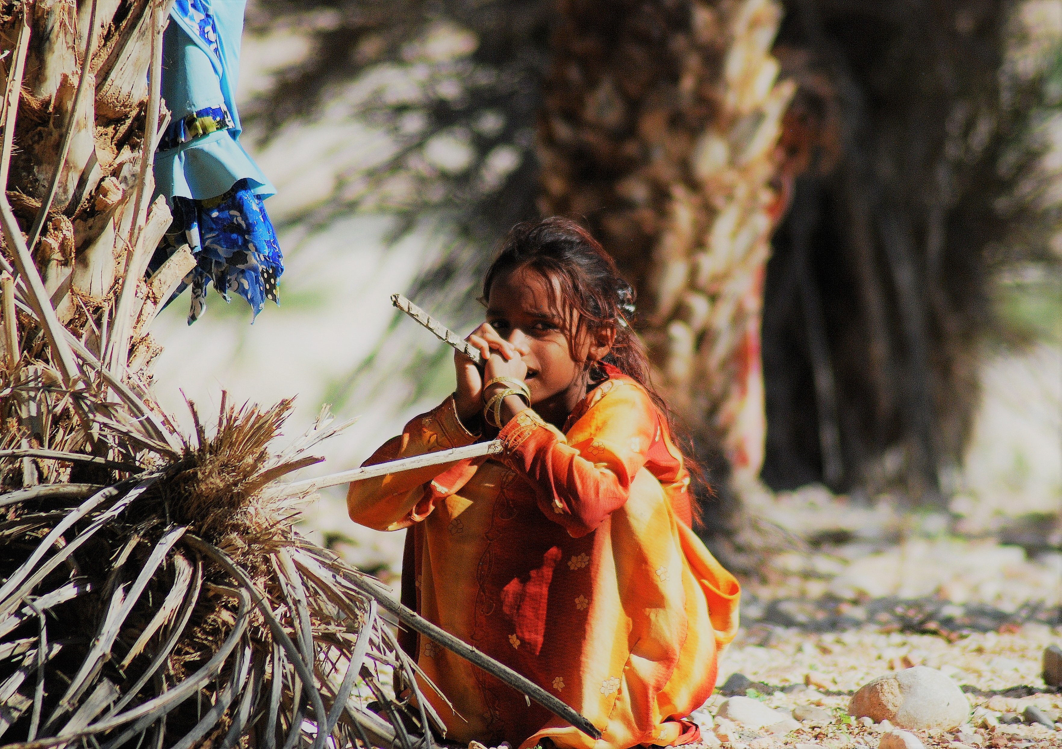 La fille de Socotra