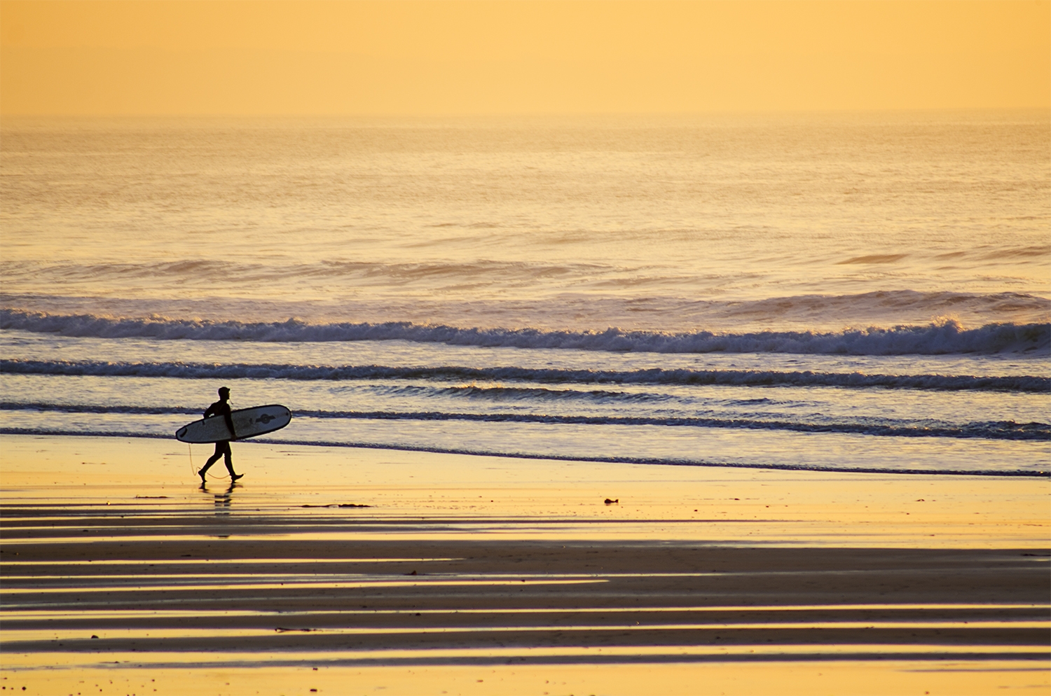 Surfer